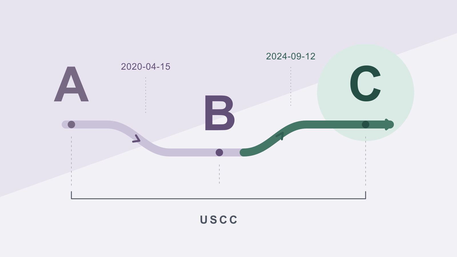 A continuous path connects former company names A and B to current name C, with two dated changes above one unchanged USCC reference